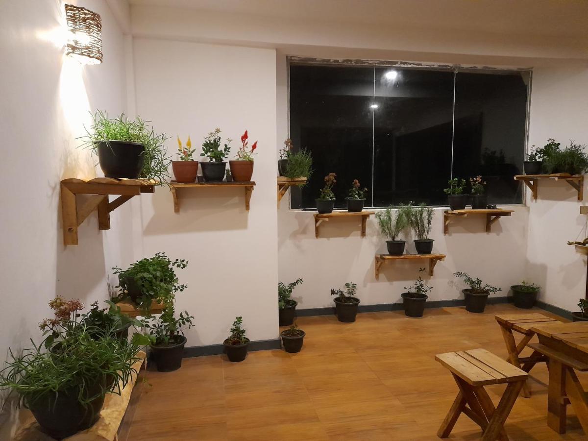 Tea Mount Forest 누와라 엘리야 외부 사진